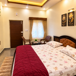 Non AC Deluxe Room